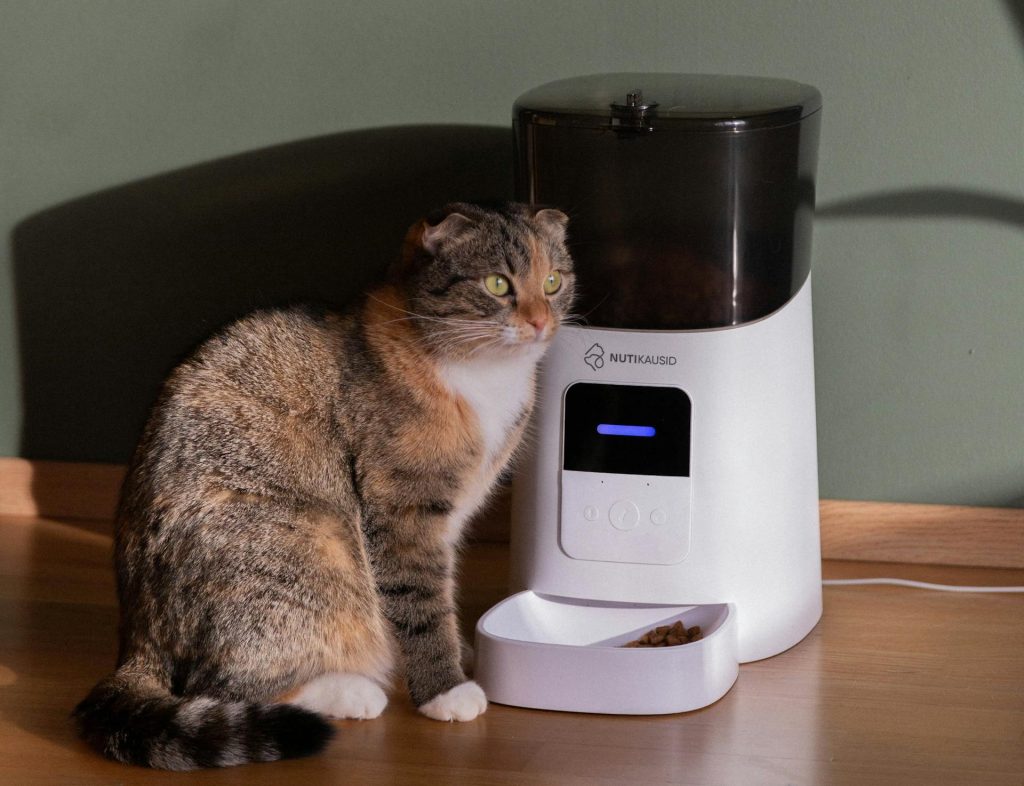 Le distributeur automatique de croquettes pour chat
