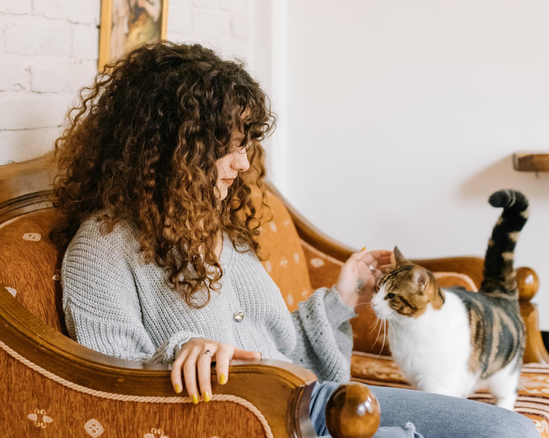 Bien communiquer avec son chat : les conseils