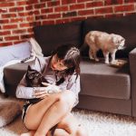 Comment choisir le bon animal de compagnie pour votre mode de vie