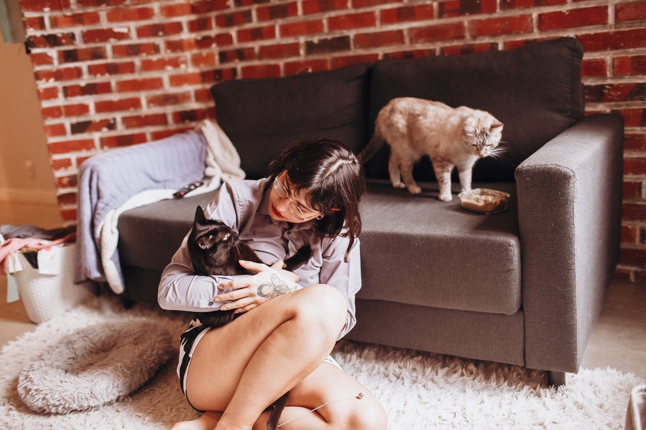 Comment choisir le bon animal de compagnie pour votre mode de vie