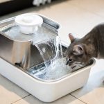 Comment fonctionne une fontaine a eau pour chat ?