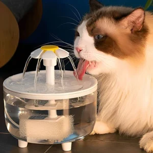 fontaine a eau pour chat
